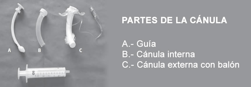 04120219 Partes que componen la cánula de traqueostomía 04120219 Partes que componen la cánula de traqueostomía